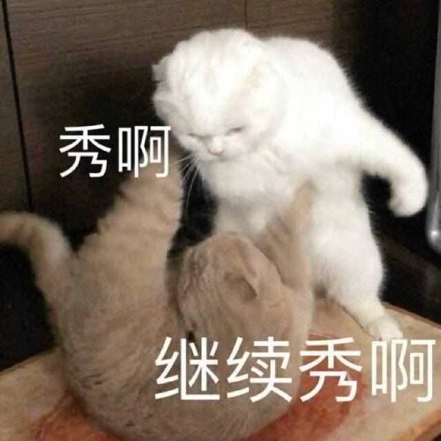 有没有特别酷的文案?