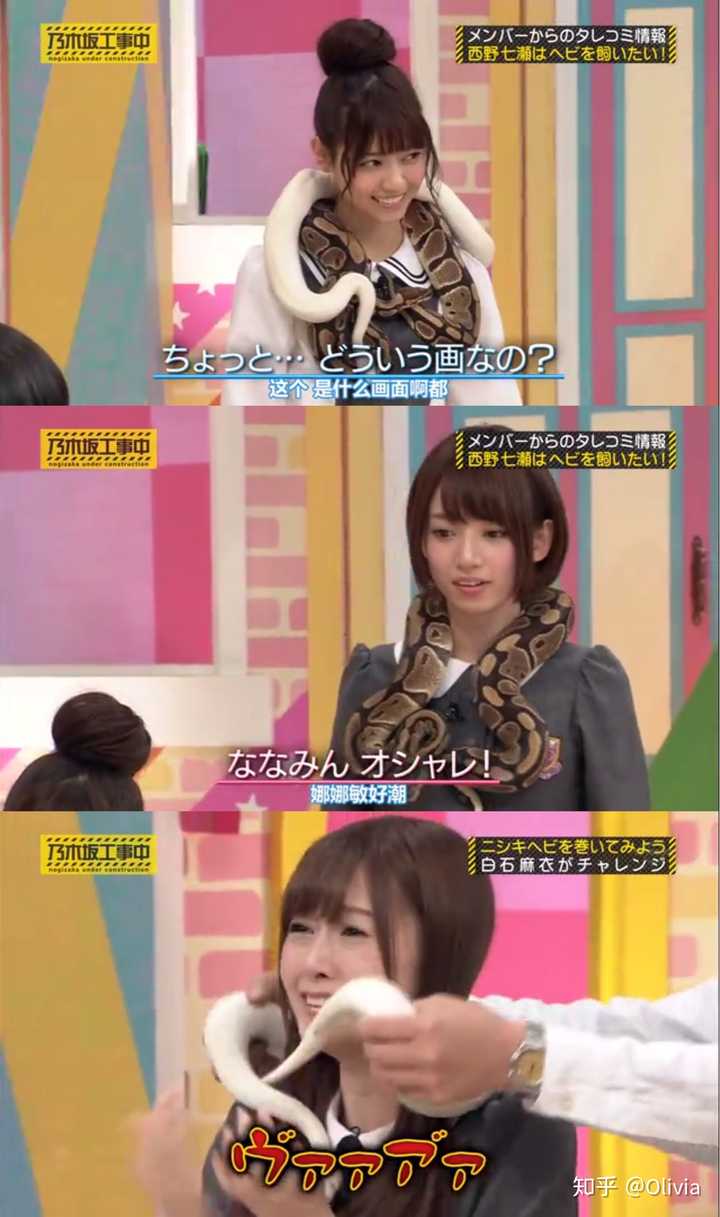 如何评价乃木坂46的成员们 知乎