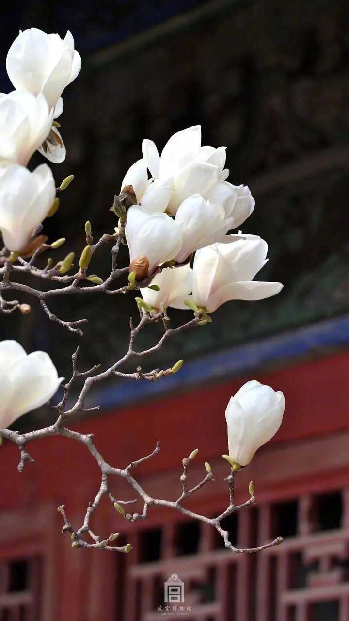 有哪些明星的照片惊艳到你(不管是不是她的粉)?