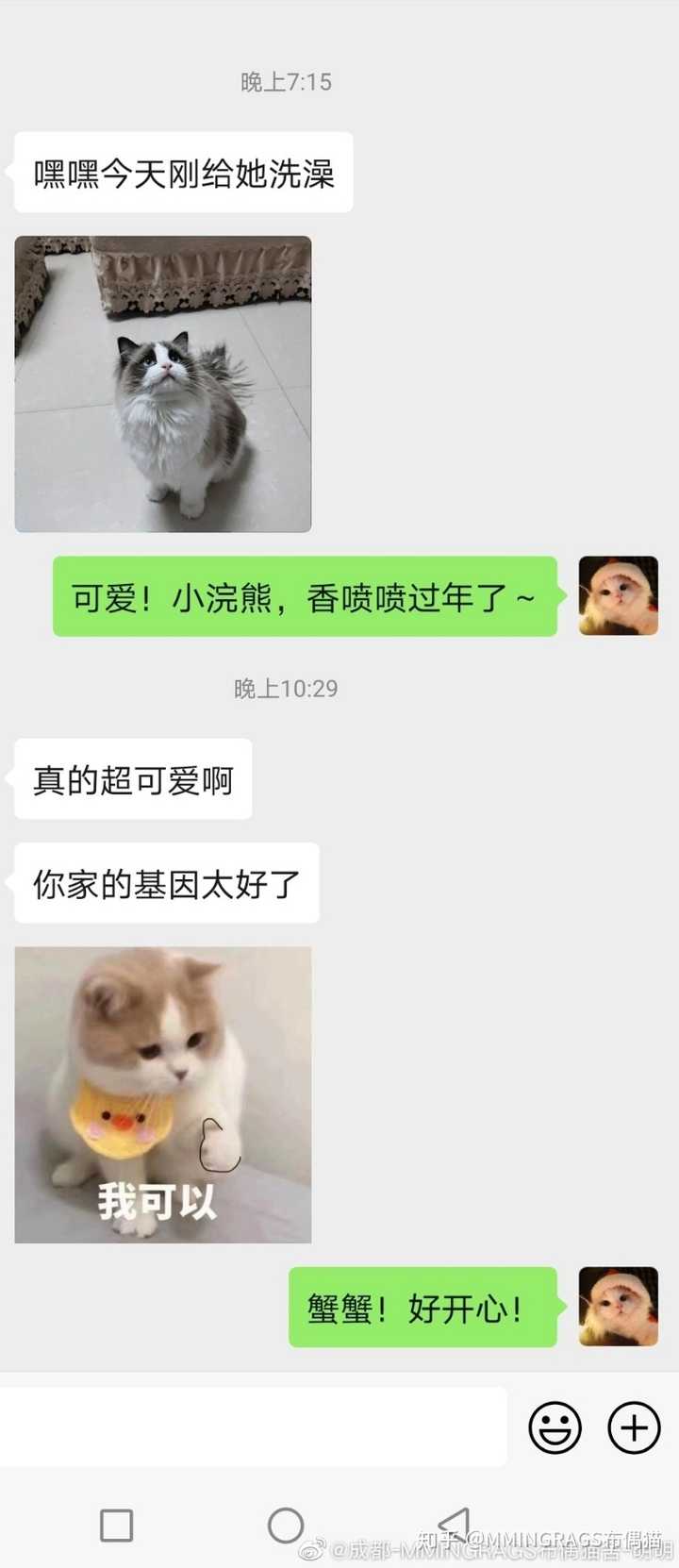 买猫的时候被猫舍鄙视是什么感受 知乎