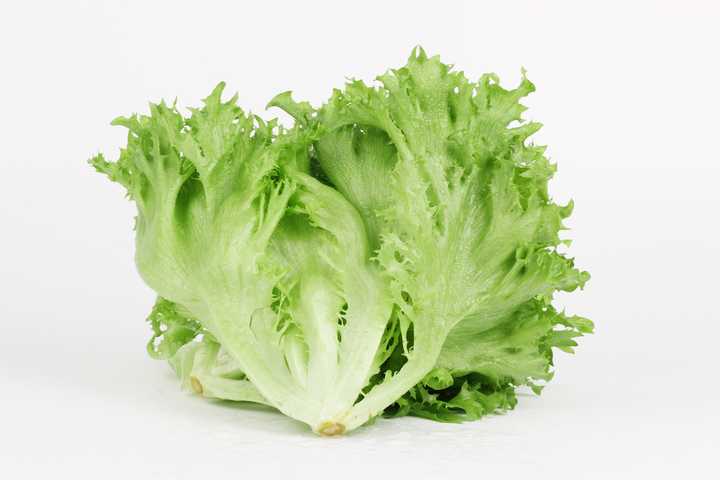 室内植物通过灯光可以进行光合作用吗 知乎 室内植物通过灯光可以进行光合作用吗 知乎
