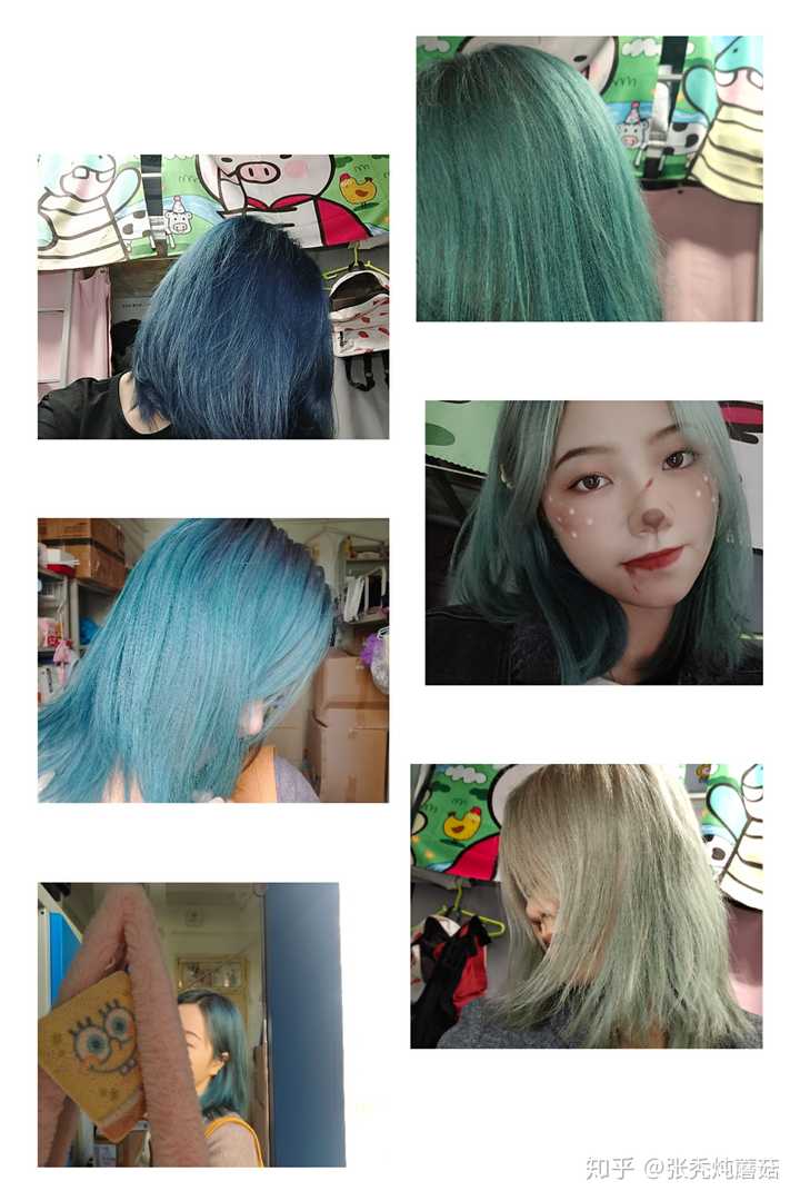 肯定褪! 蓝黑色—孔雀蓝—蓝绿色—绿色