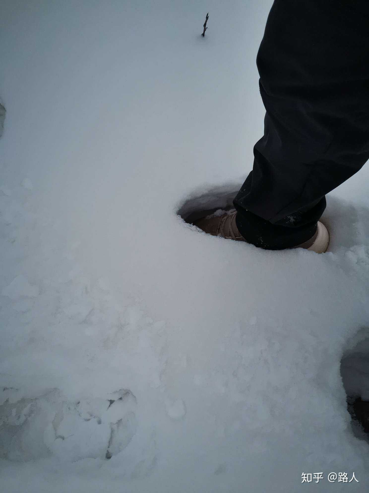 大雪封山十几天,家里没米没面,情人节我只在朋友圈过过.