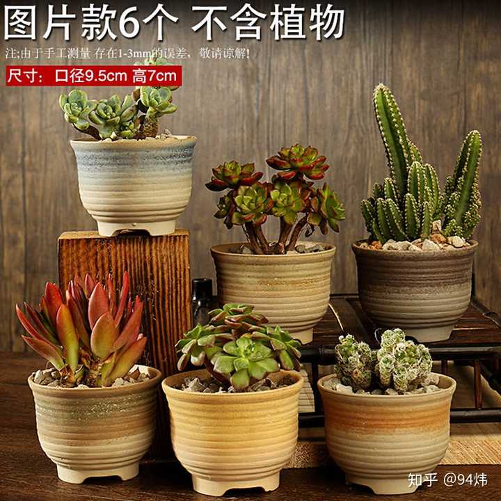大家喜欢什么样的多肉花盆 知乎
