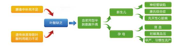 孕妇贫血吃什么可以补血呢 知乎 孕妇贫血吃什么可以补血呢 知乎