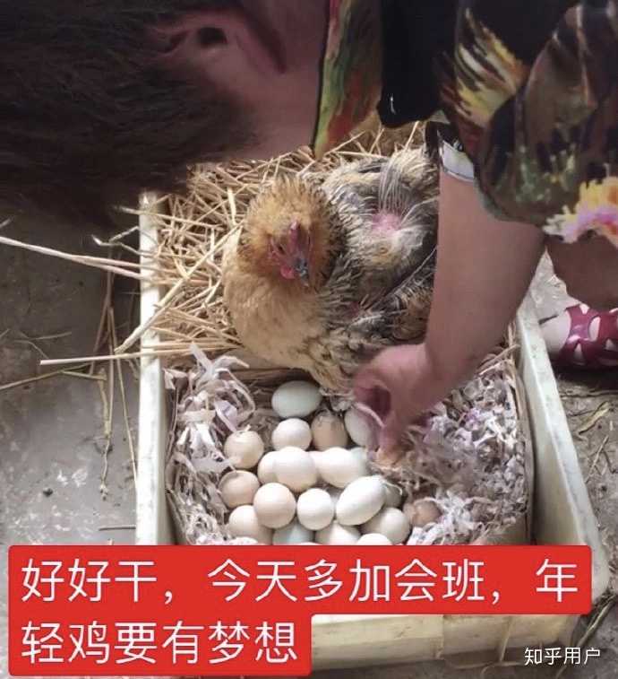 老子不伺候了.