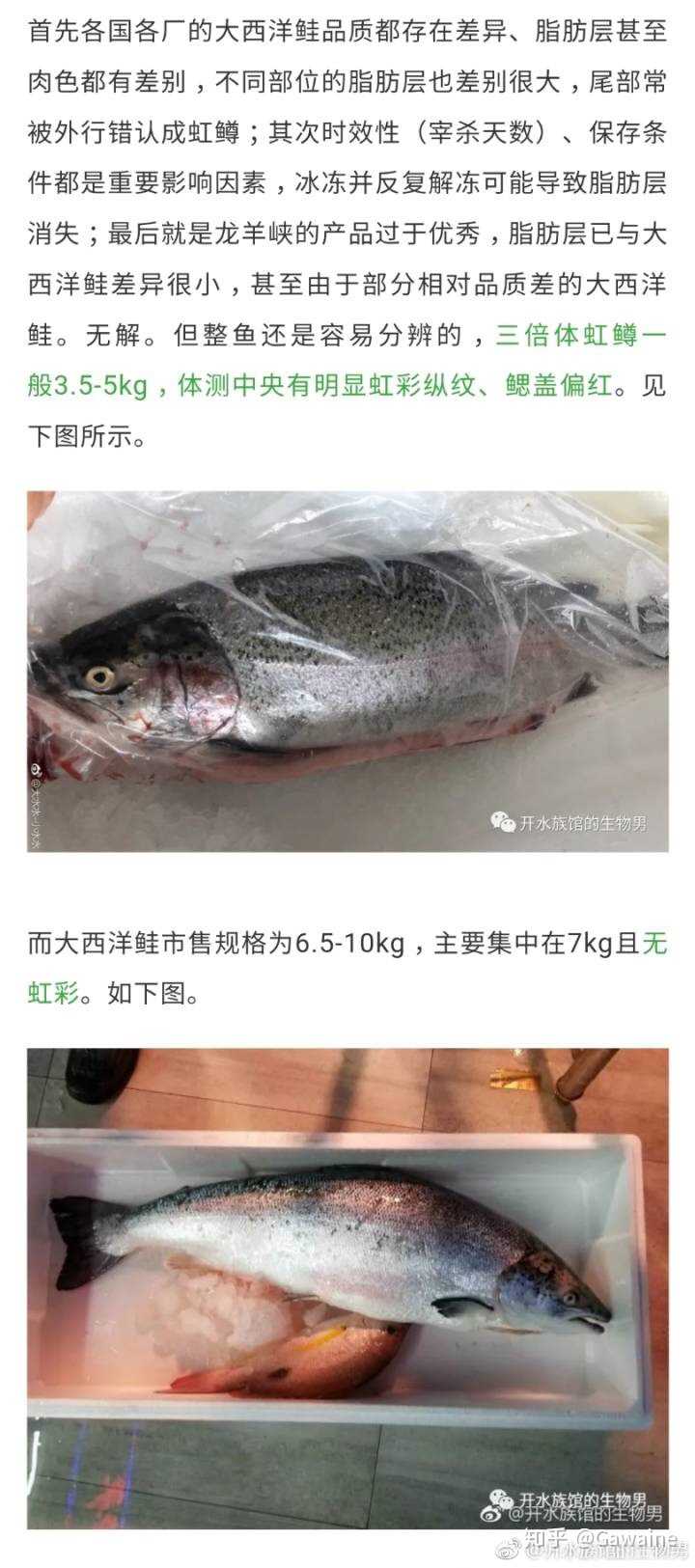 三文鱼和虹鳟有什么区别 知乎 三文鱼和虹鳟有什么区别 知乎