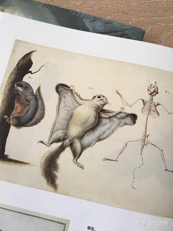 马赛克杨 的想法: 好期待 - 知乎