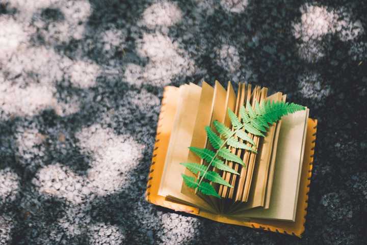 怎么有效锻炼自己的记忆力?