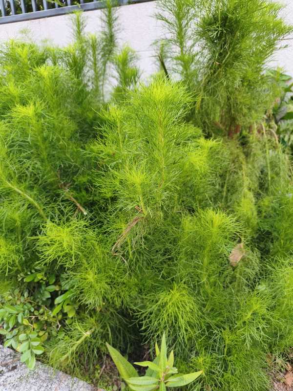 你身边有哪些「随处可见的春」？能分享一下你拍的照片吗？