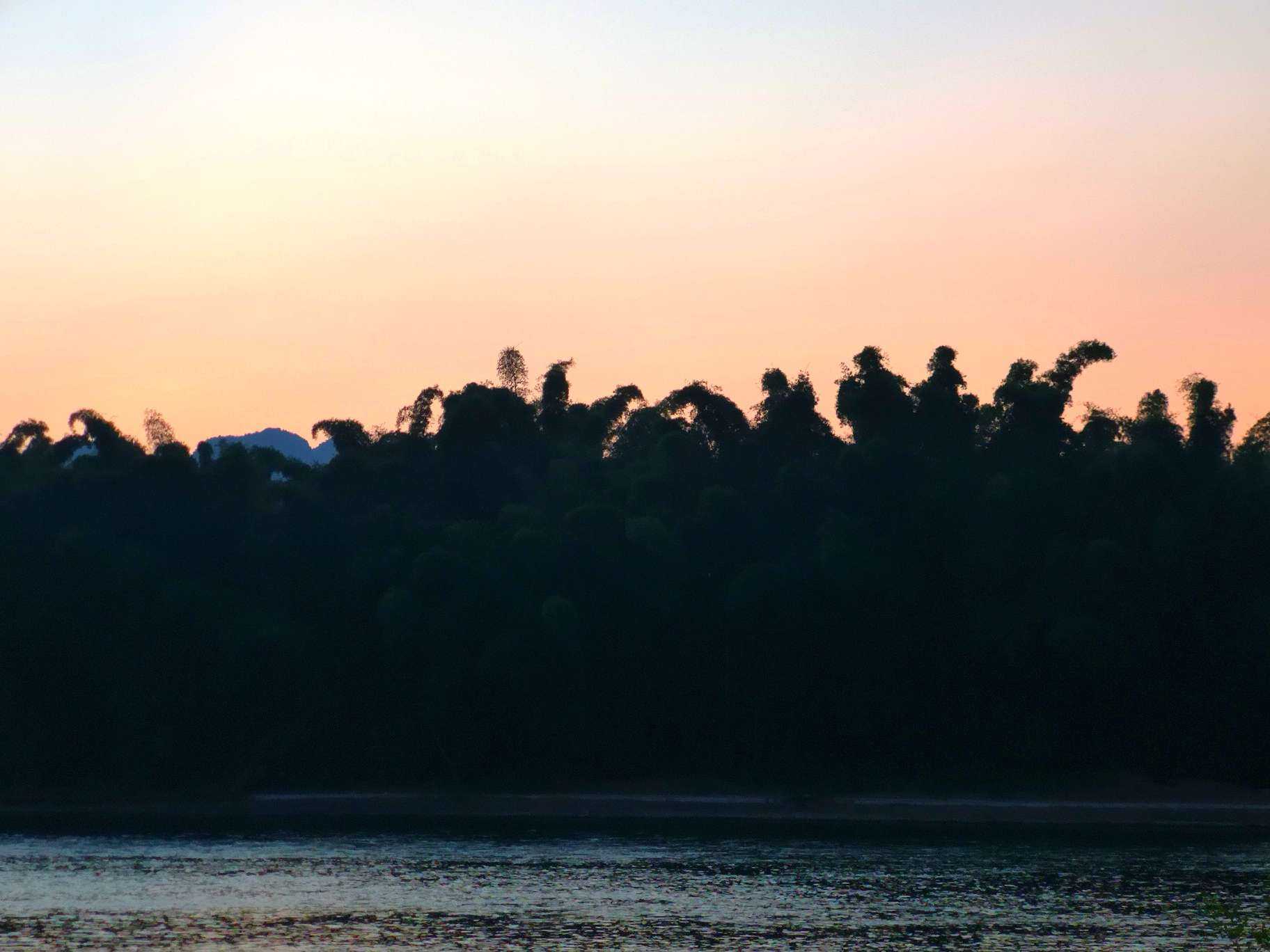 手机摄影# 丧气日