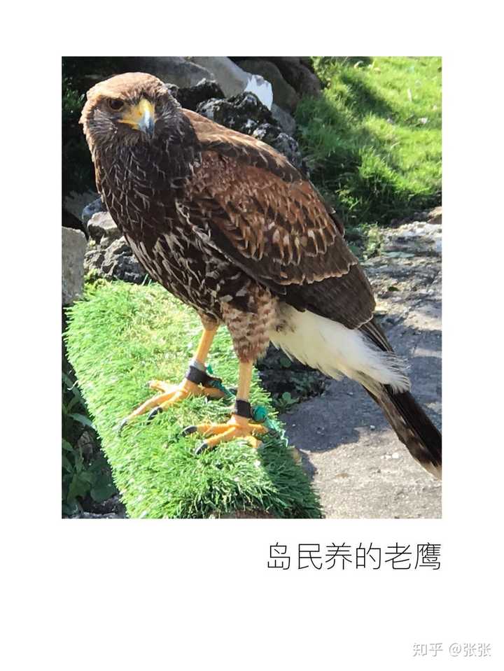 台湾 绿岛 是一个什么景点 有哪些历史典故和推荐的旅游攻略 知乎 台湾 绿岛 是一个什么景点 有哪些历史典故和推荐的旅游攻略 知乎