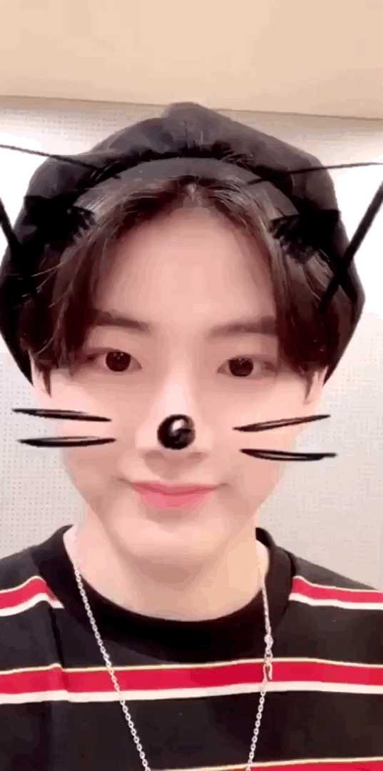 如何评价yg新综艺yg宝石盒?