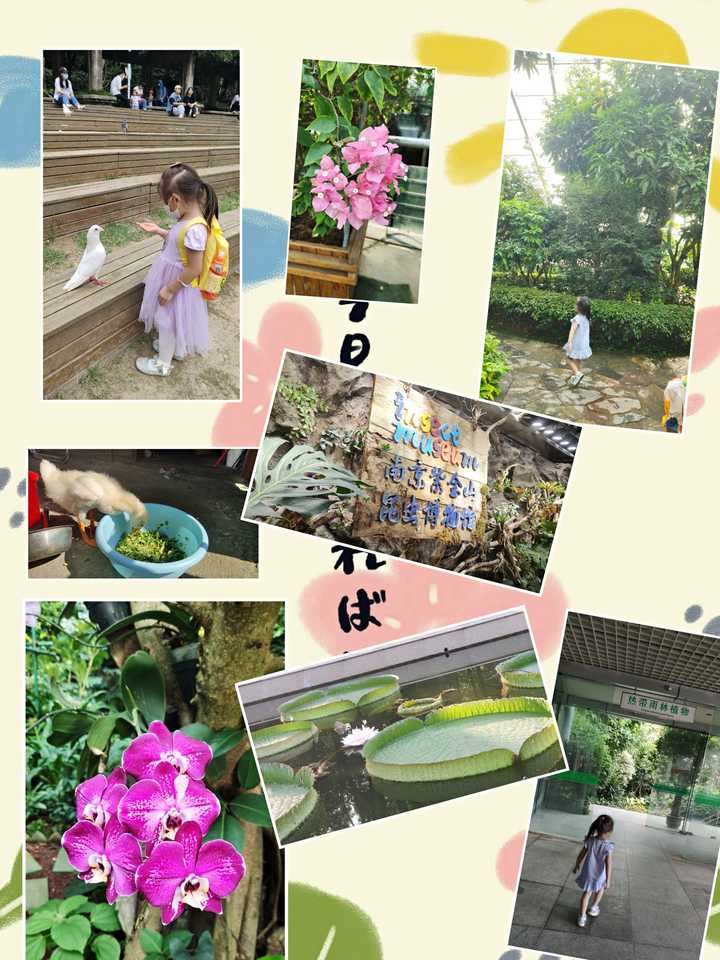 家长如何正确的引导孩子认识动植物及大自然 知乎