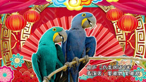 孩子很期待自己可以听懂小鸟的语言，作为家长应怎么办？
