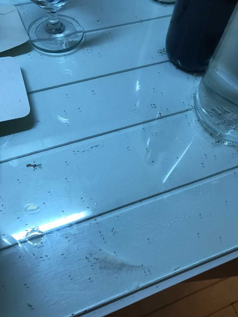 铂爵婚纱摄影三亚的怎么样?