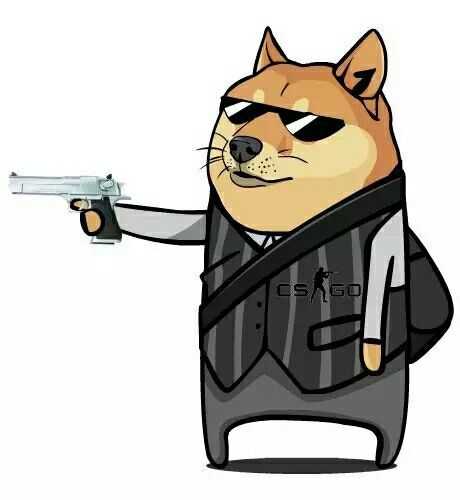 作为历史课代表,历史渣到爆怎么办?