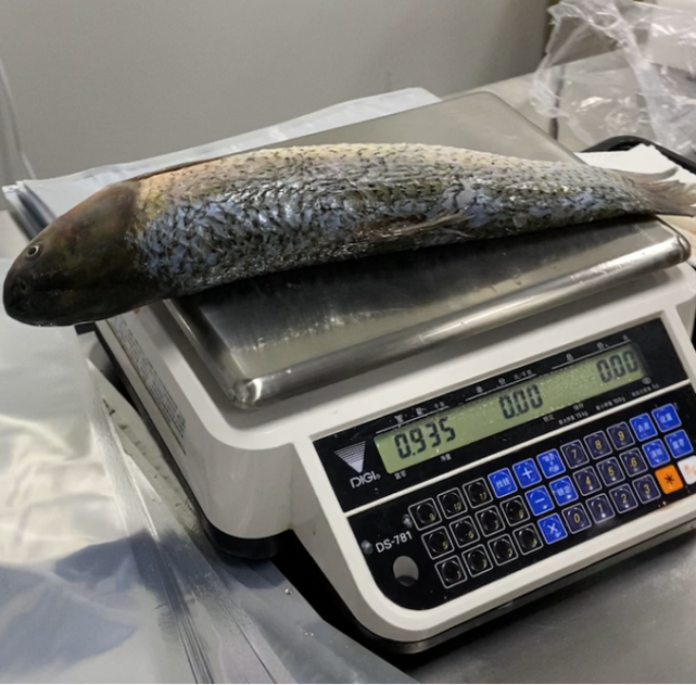 有没有适合上班族买鱼和肉的线上平台?