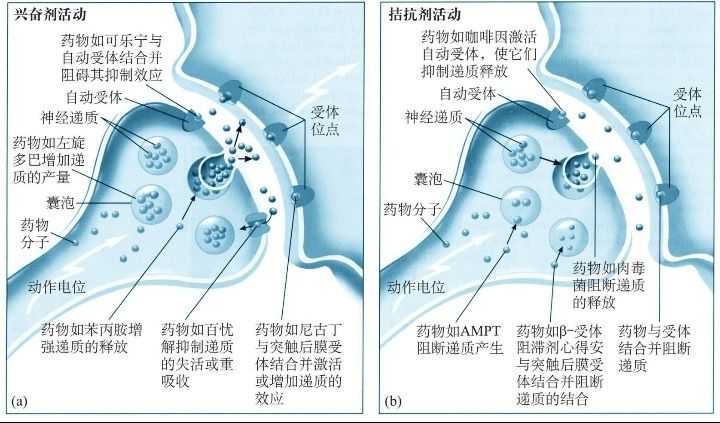 抗抑鬱症藥物大多數是神經遞質 還 一種有重要病理作用的抑制劑藥物叫