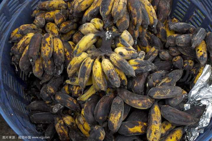 如图,大概烂成这样子了.而且皮都裂了.