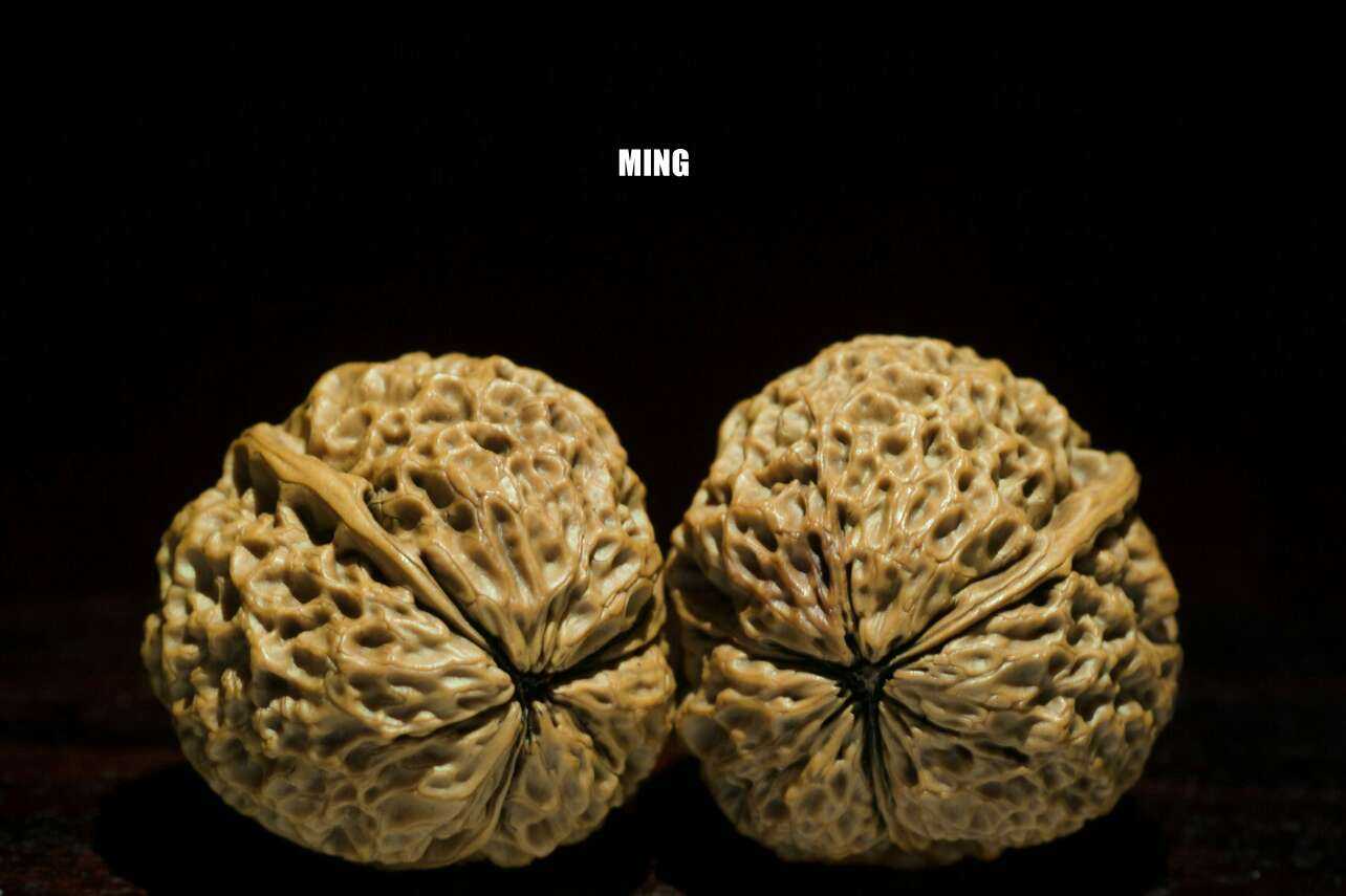 三棱正奔球形铁核桃