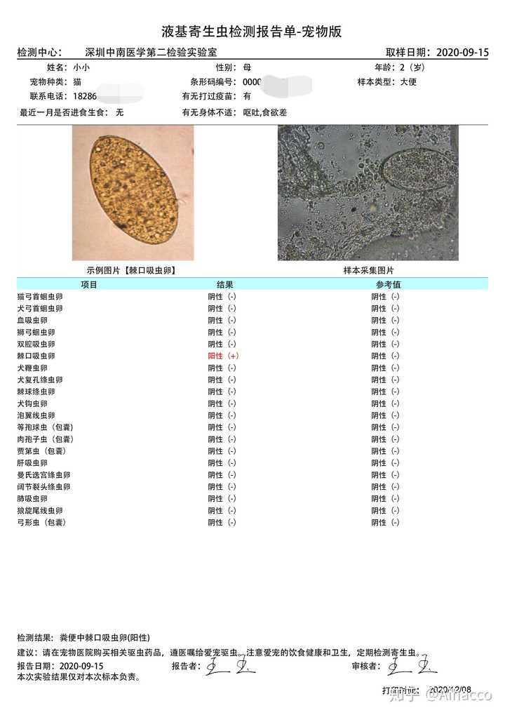 猫的寄生虫会传染人吗 知乎