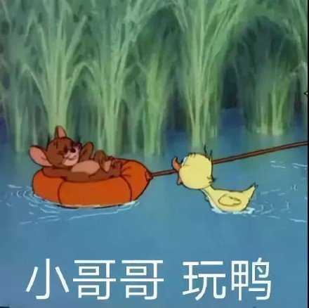 有什么好玩的猫和老鼠表情包？