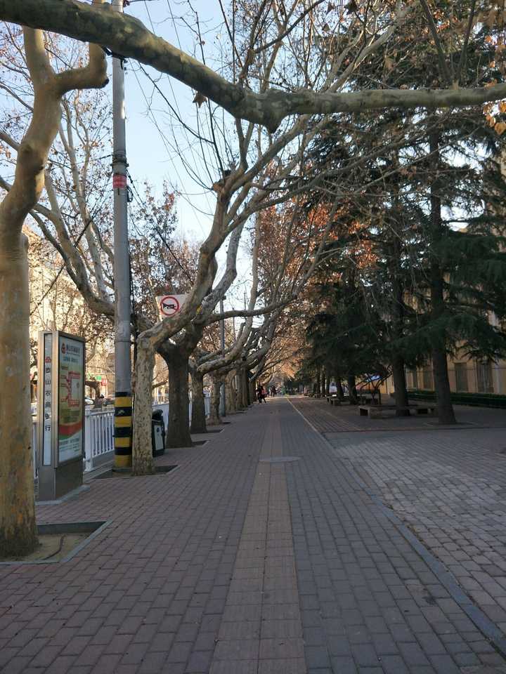 2017初春的青年路