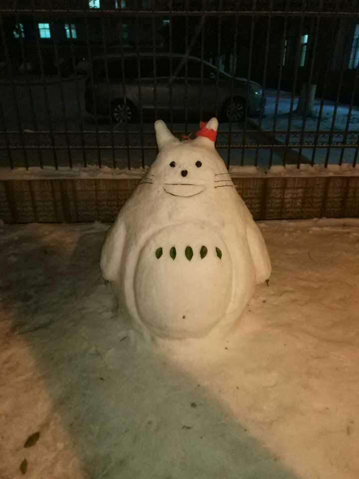 学姐堆的雪人,贼拉牛掰,我他妈也要堆