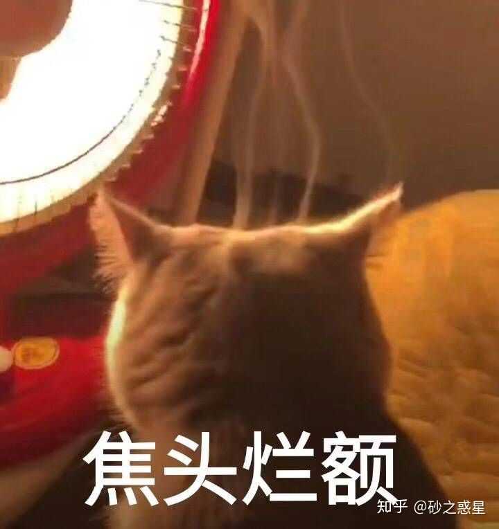 如果你是虐文里的女主你会怎么办 砂之惑星的回答 知乎