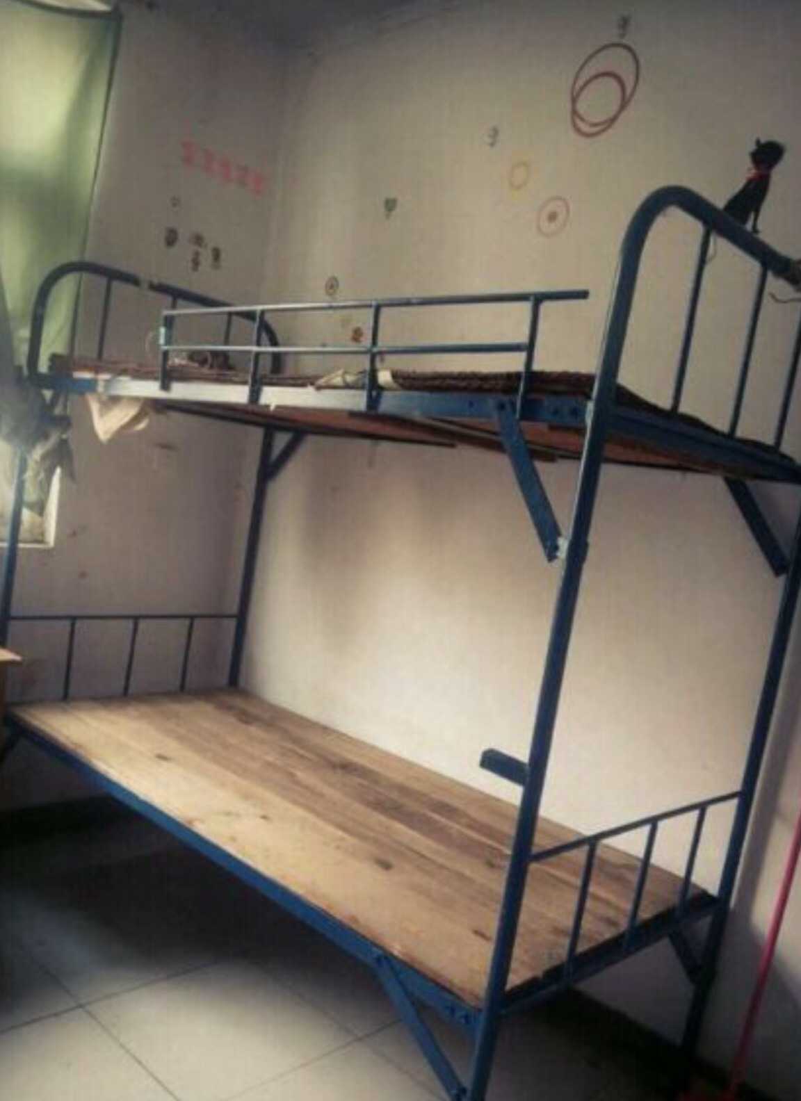 这是我 见到我这寒酸青铜宿舍的第一面 信鸡拉乃!