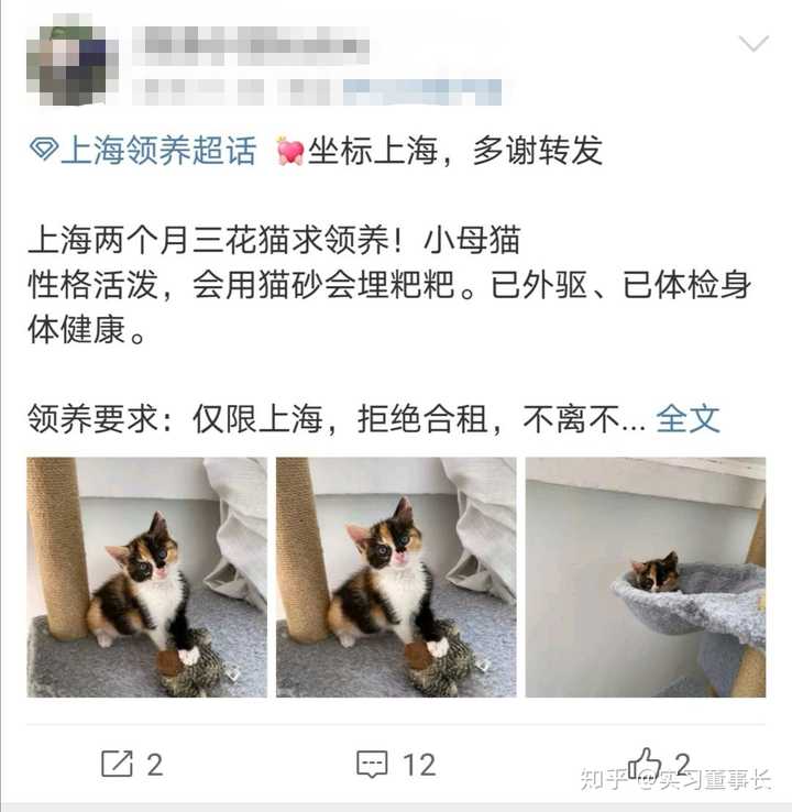 把土狗养成高级犬是一种怎样的体验 知乎