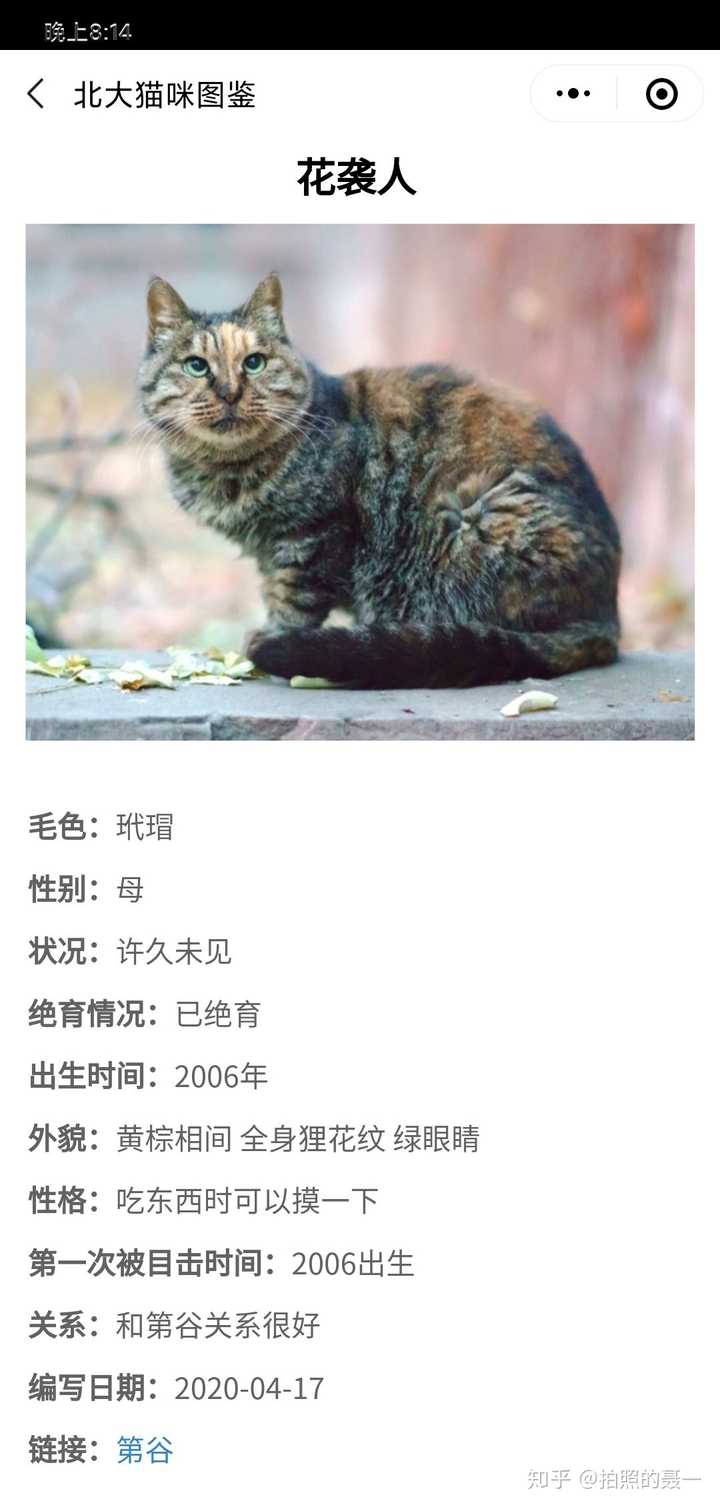 如何看待北大为了归整校园流浪猫而做的小程序【北大猫咪图鉴】?