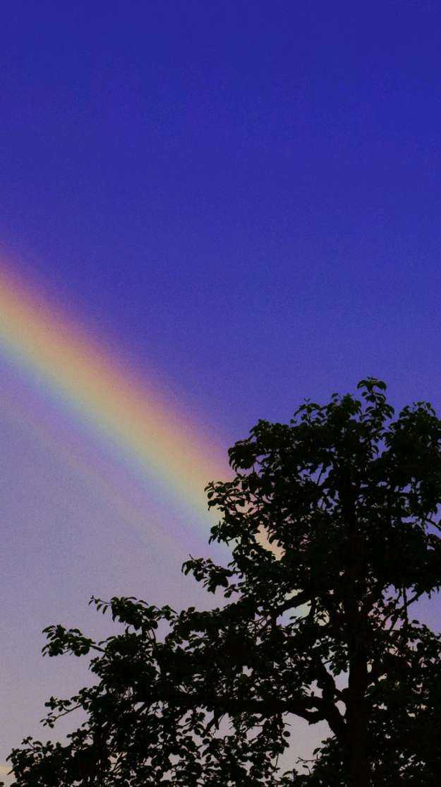 有没有一张让人一看就觉得你很有意思的照片?(适合做qq背景)?