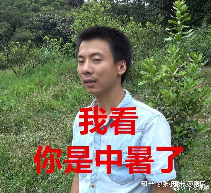 李子柒和华农兄弟哪个是真实的农村生活?