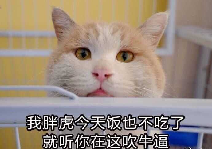 6粉可以散了,这是给5正名现场,快别打扰人家委屈巴巴给自家爱豆正名