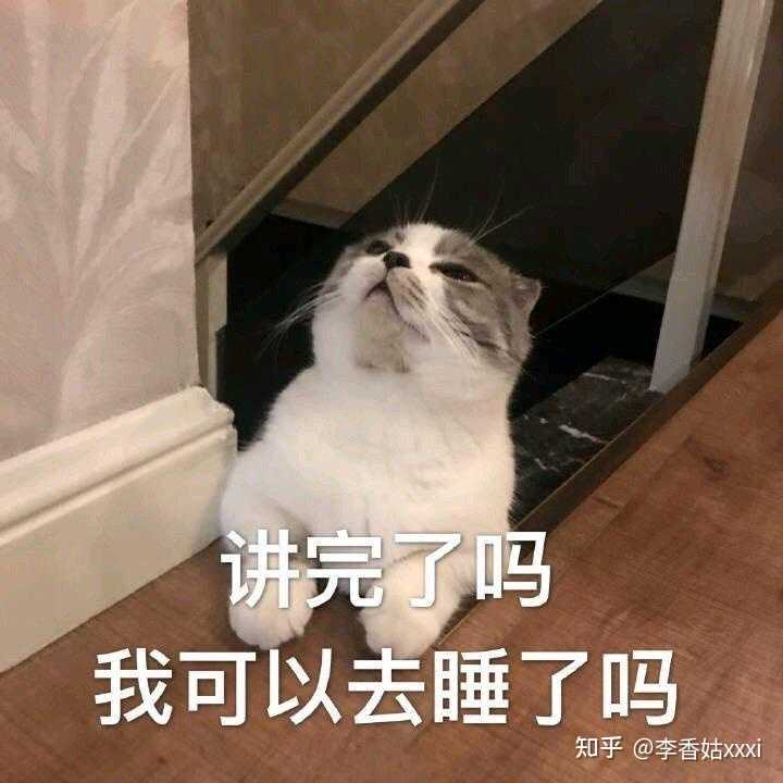 如何防止猫抓沙发？ - 知乎