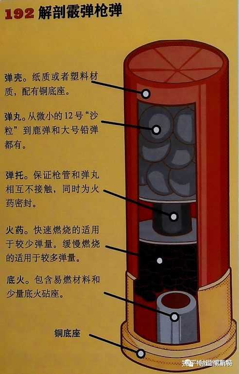 有什么碳基生物可以抗一发霰弹枪?