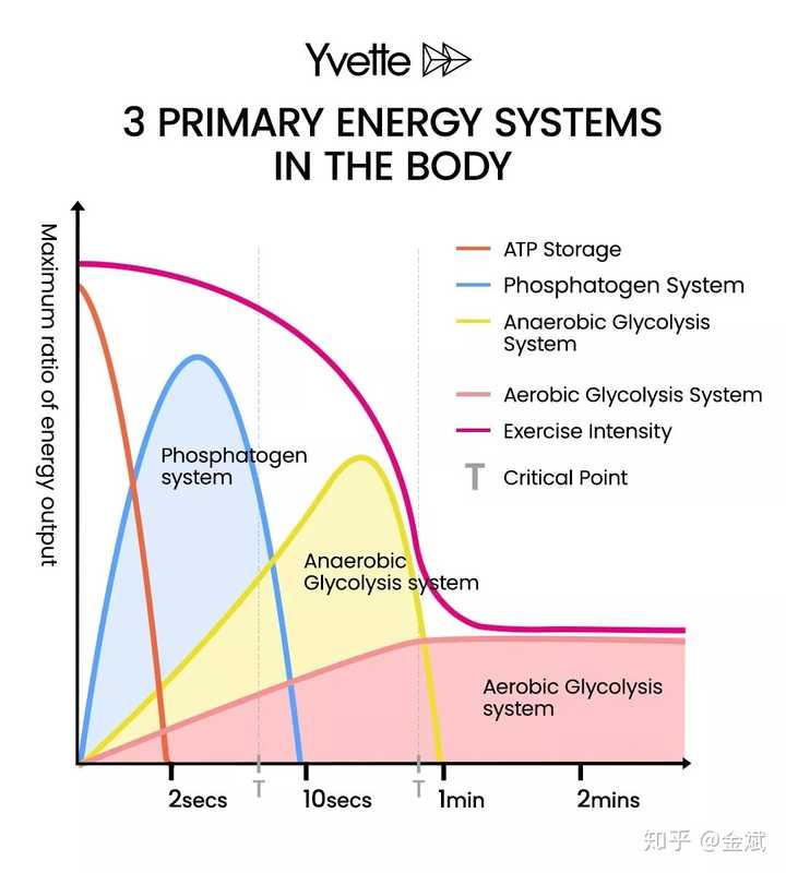 有氧运动和无氧运动有哪些区别 知乎