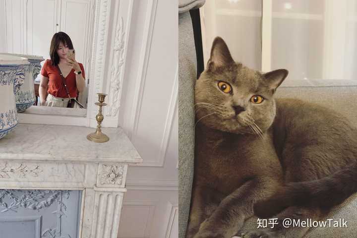 对猫过敏怎么办？ - 知乎