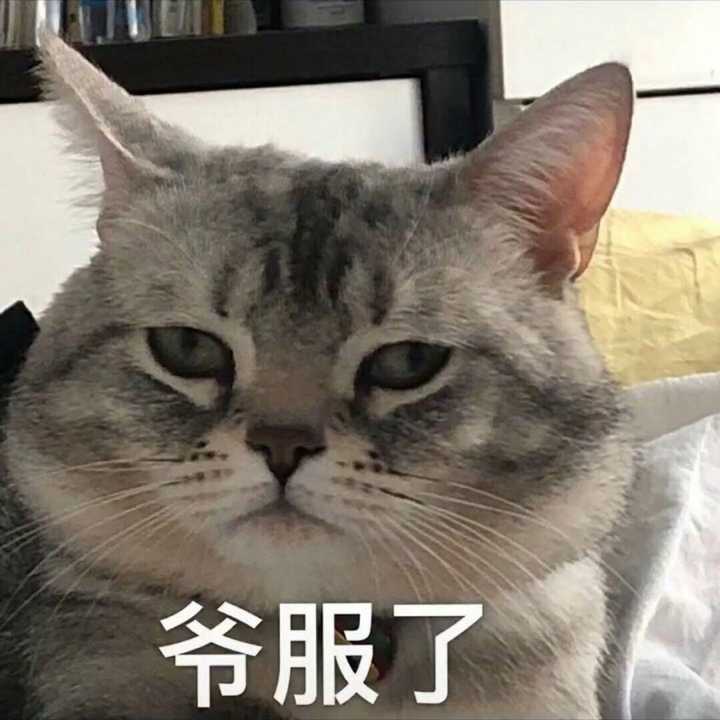 如果你是虐文里的女主你会怎么办 知乎 如果你是虐文里的女主你会怎么办 知乎