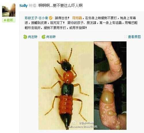 有哪些动物(包括昆虫)咬人虽然不致命但是后果却很严重?