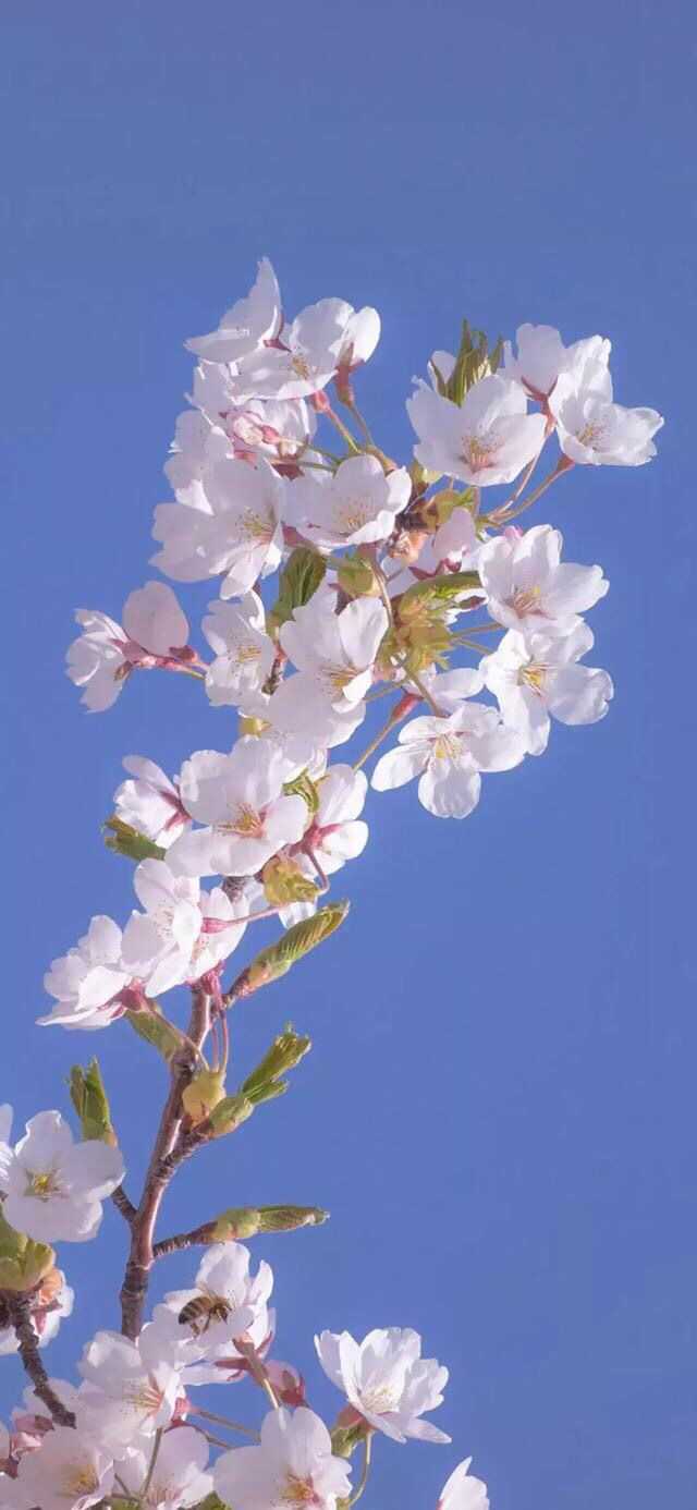 有哪些能用于语文作文的万能句 知乎