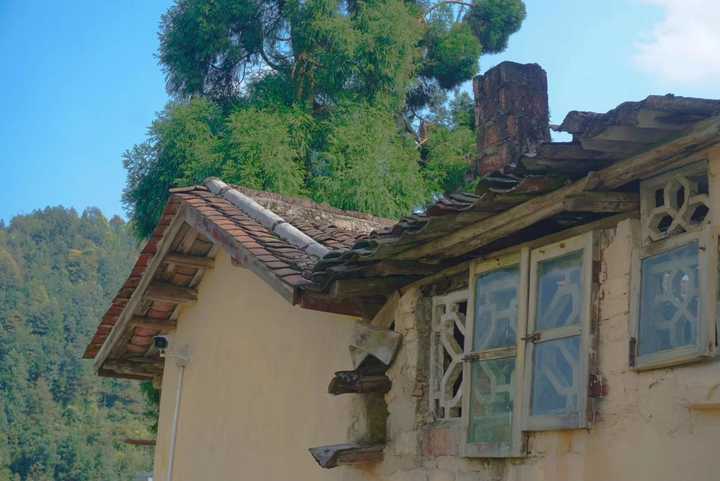 日本枯山水小庭院图片 日式枯山水 枯山水庭院