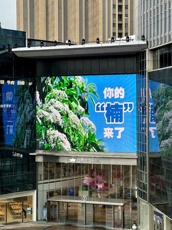 武汉的石楠花开了，听说一株石楠能养活53种昆虫，但它的味道让人捂鼻，你会因为生态价值包容石楠花吗？