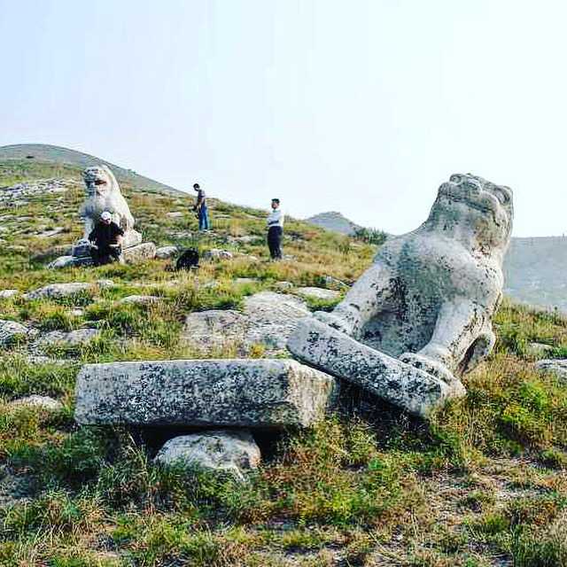 北邙山头少闲土,尽是洛阳人旧墓.