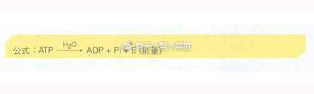 有氧运动和无氧运动有哪些区别 知乎