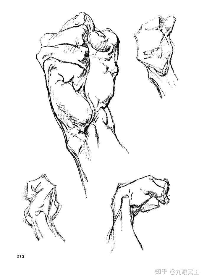 不知道伯里曼是什么的同学我先科普一下 就是当你问人家想学人体买