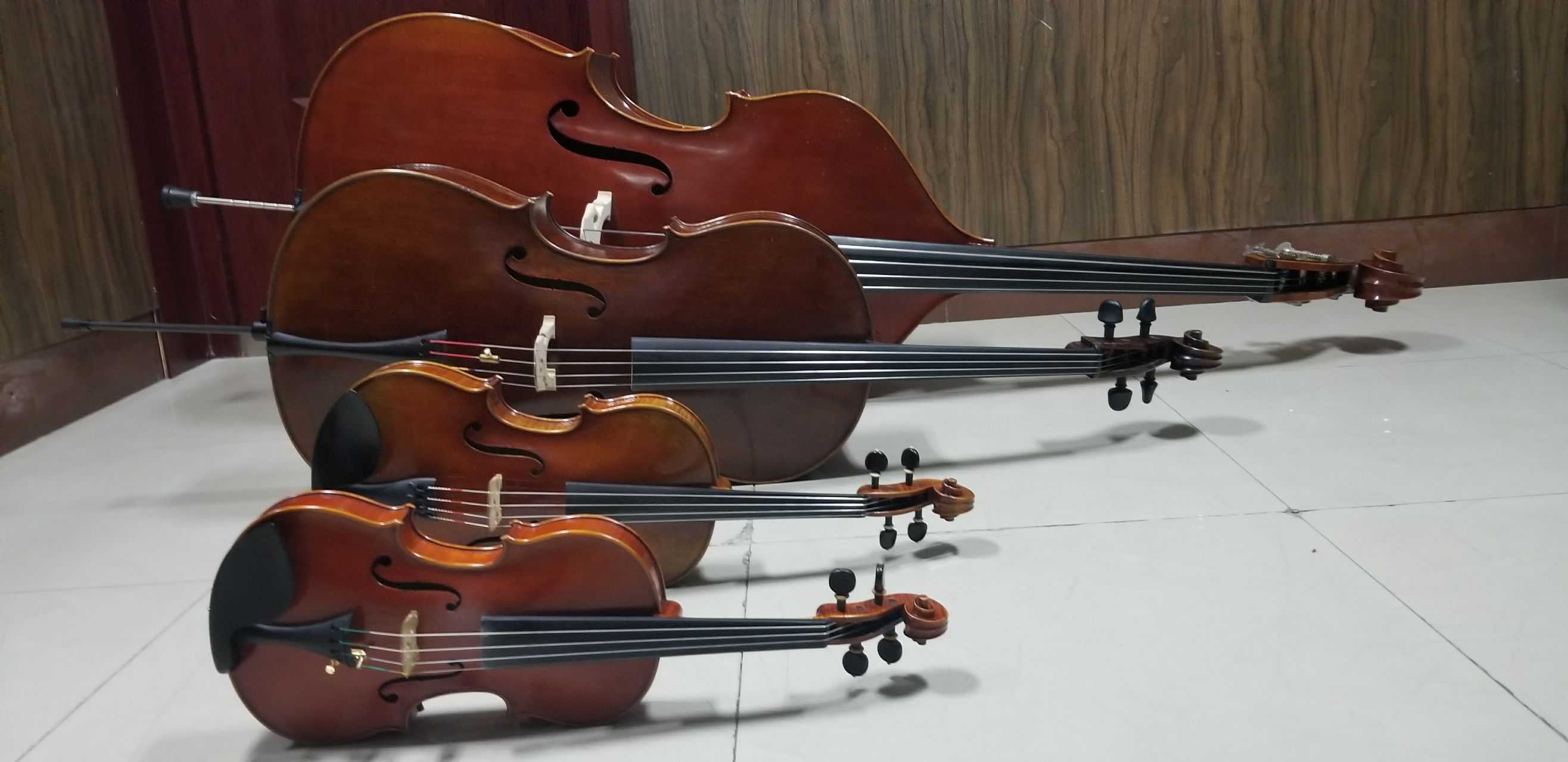 小提琴,中提琴,大提琴,低音提琴直观对比