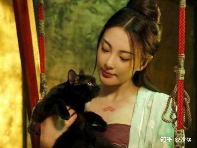 为什么中国古代传说没有猫精 猫妖 知乎